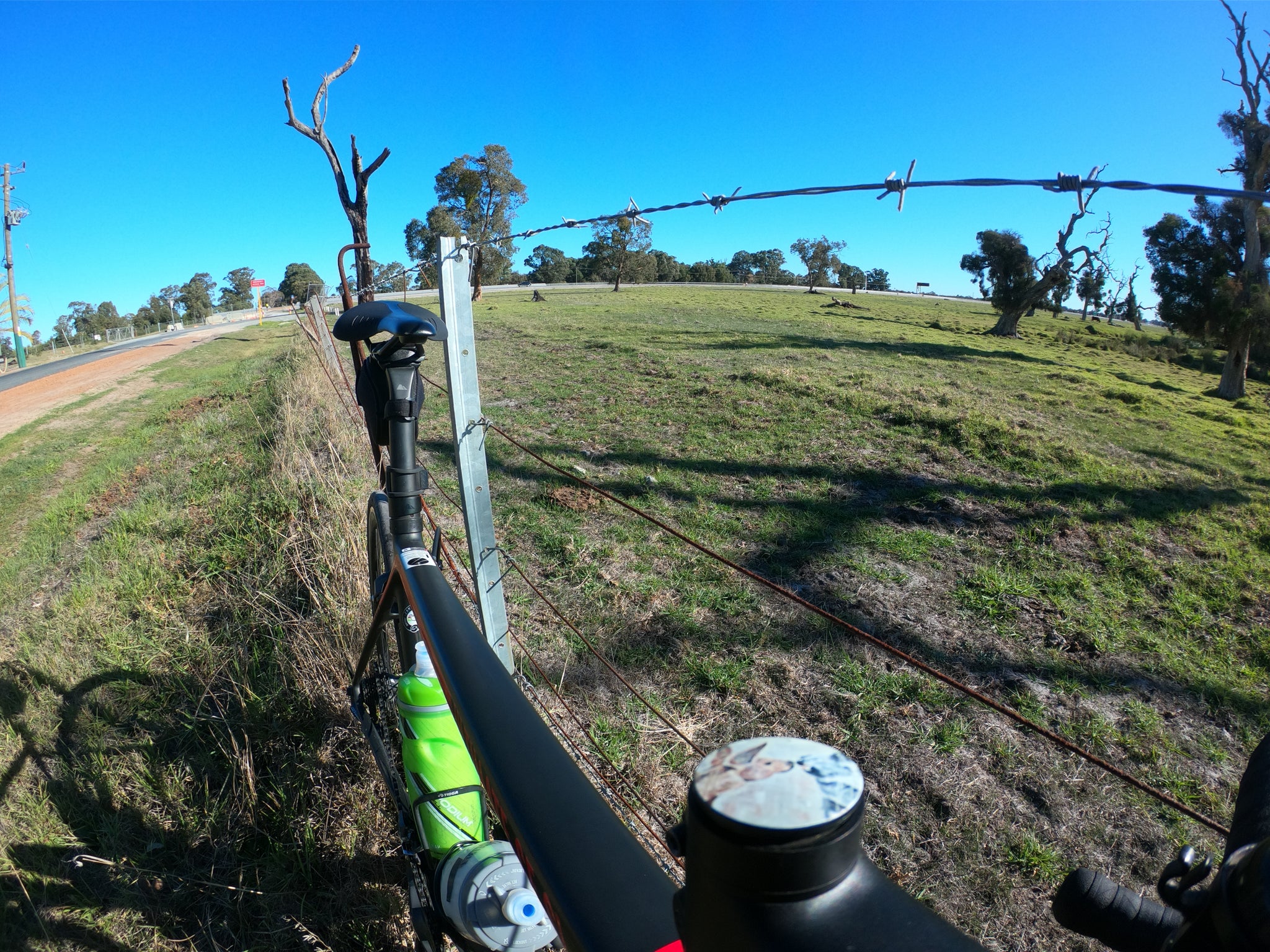 Koala Roo Stem Cap